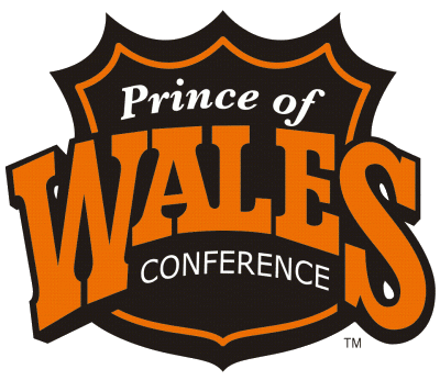 Wales Conference 1974-1993 Primary Logo DIY iron on transfer (heat transfer)